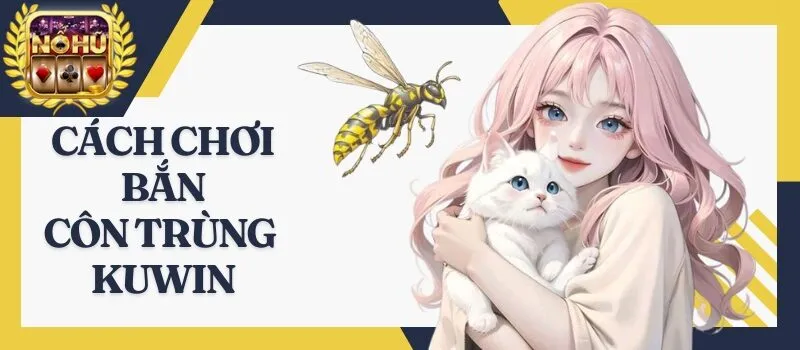 Bắn Côn Trùng Kuwin - Bí quyết săn thưởng tựa game siêu hot