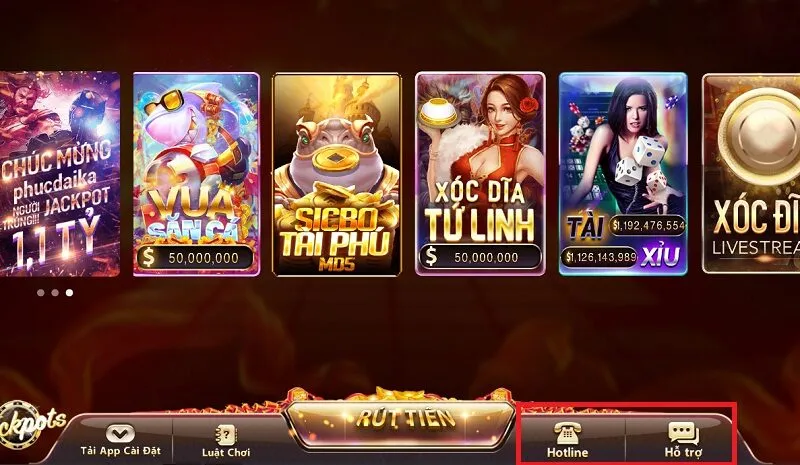 Đảm bảo nhập đúng và ghi nhớ những thông tin trong tài khoản